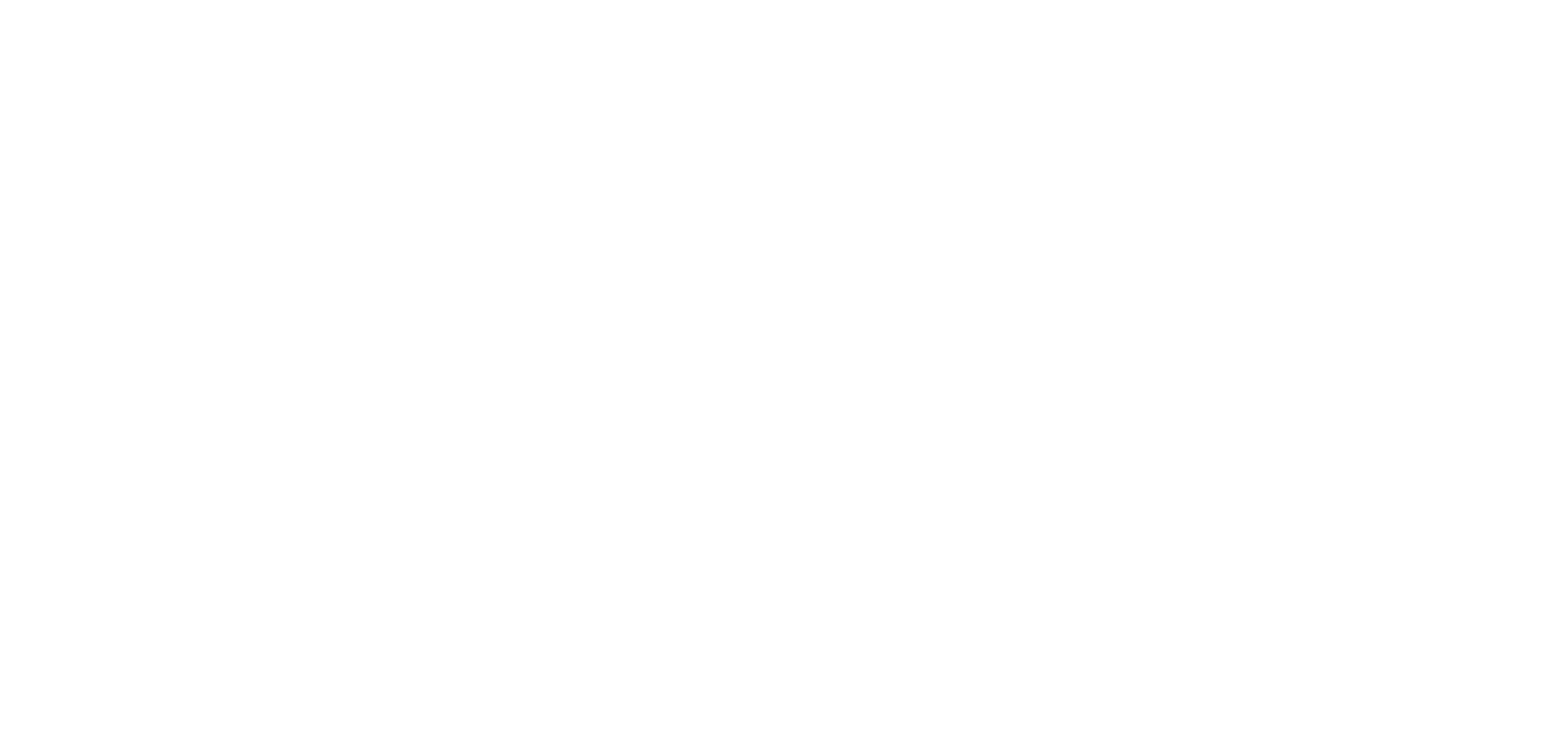 NSalon